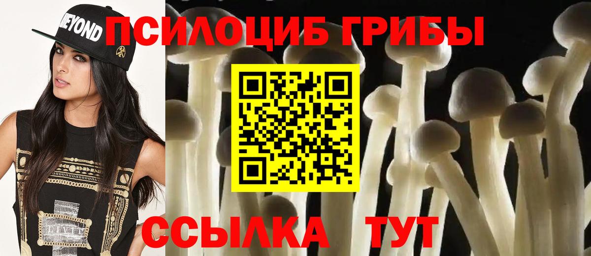 Псилоцибиновые грибы прущие грибы Междуреченск