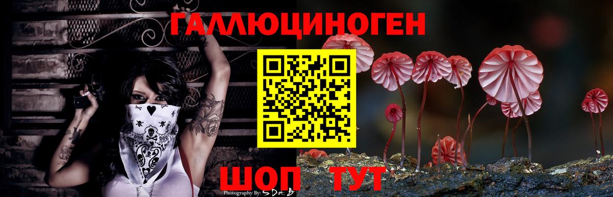Псилоцибиновые грибы Psilocybine cubensis  Вход с VPN  Междуреченск 